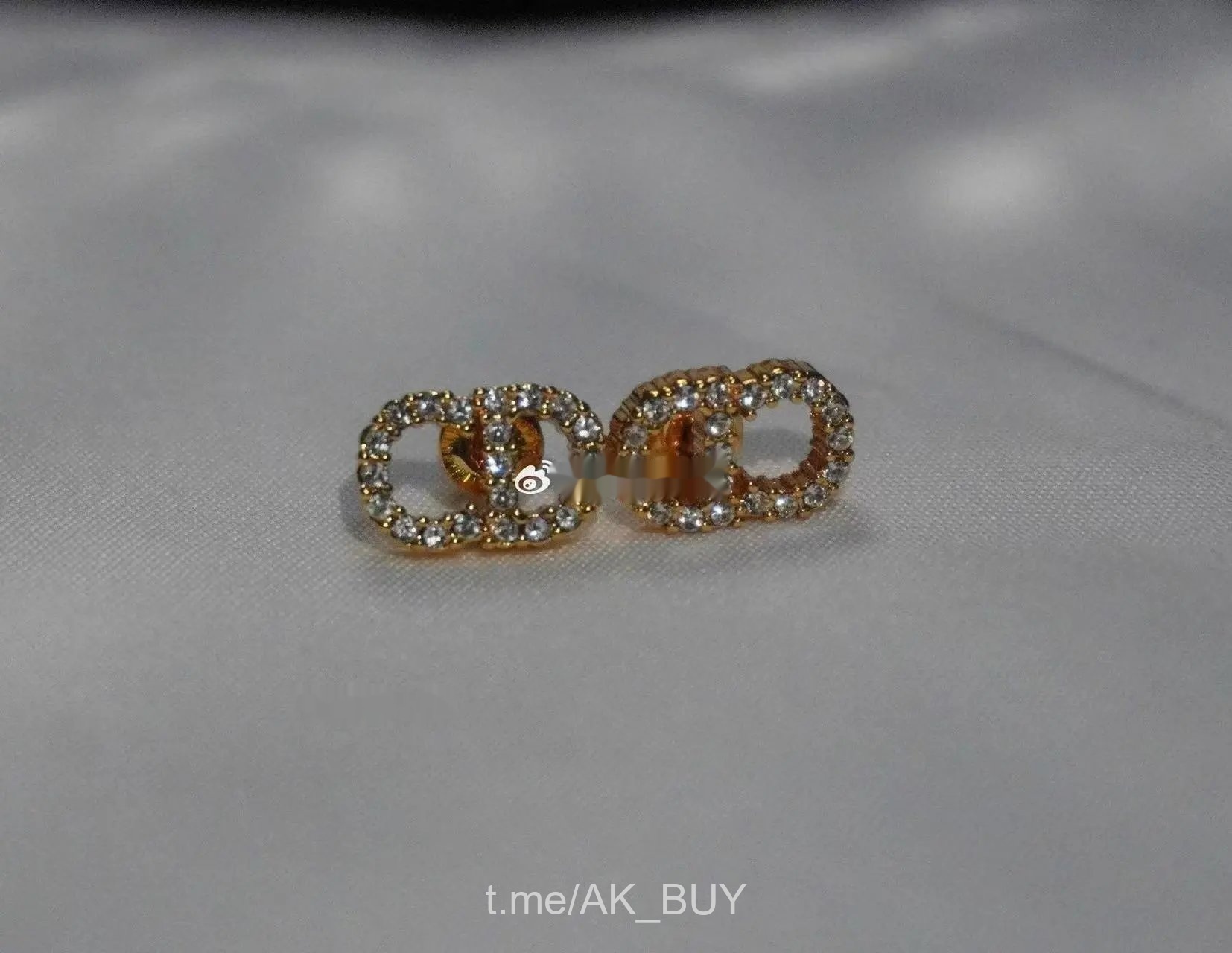 Dior Earrings