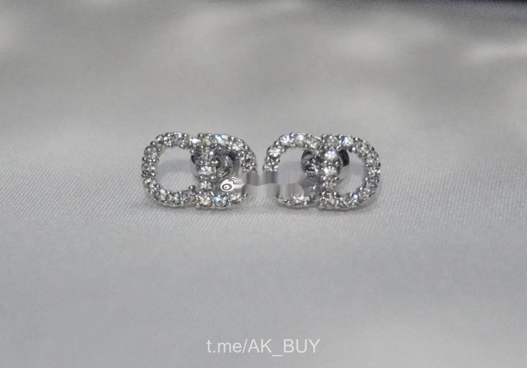 Dior Earrings