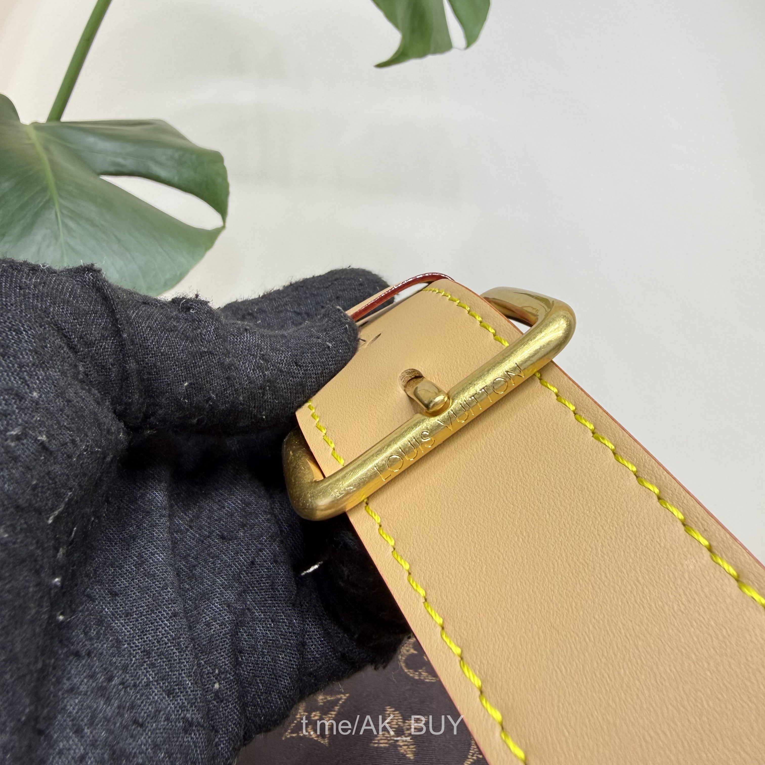 Louis Vuitton 2A452 [252670041] - 2