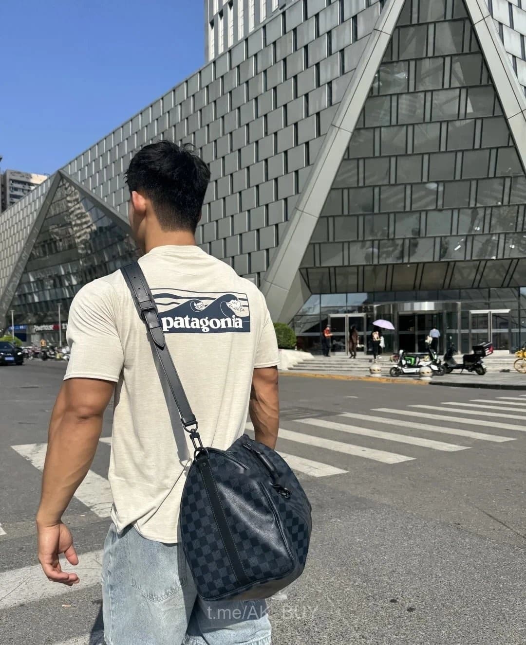 Patagonia Beige Graphic T-Shirt